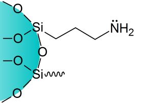NH2 SPE