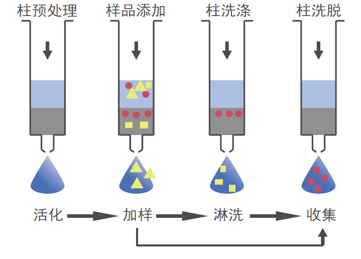 SPE操作步骤