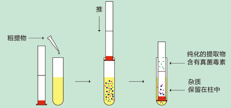 230多功能净化柱